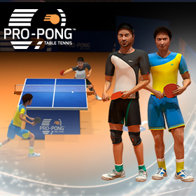 Pro-Pong Table Tennis